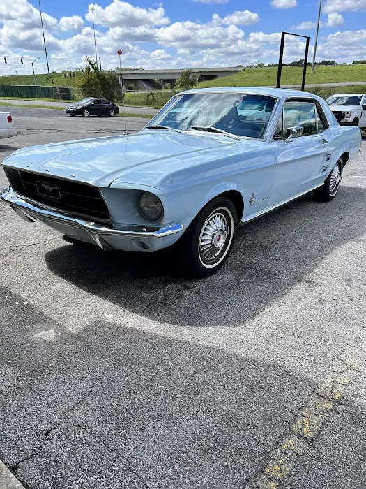 Shoals Auto Glass And Accessories Inc 9