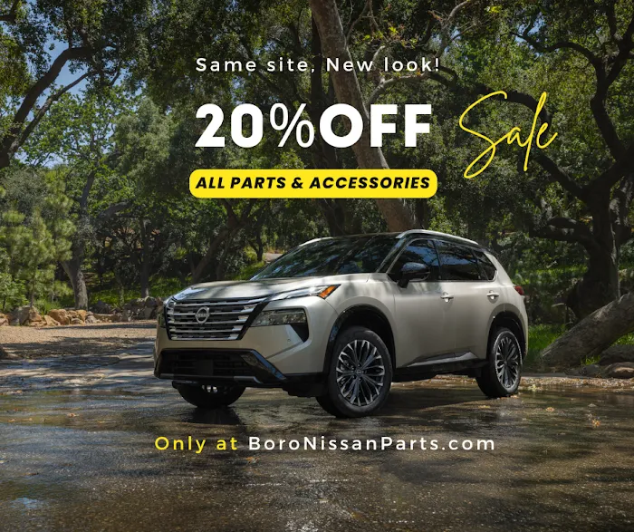 Boronissanparts.com 1