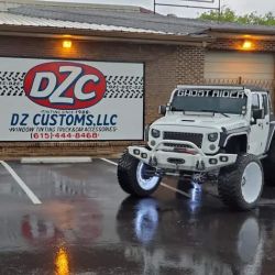 DZ Customs ico