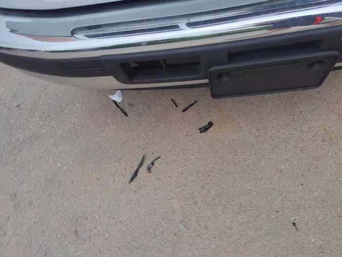 Safelite AutoGlass 8