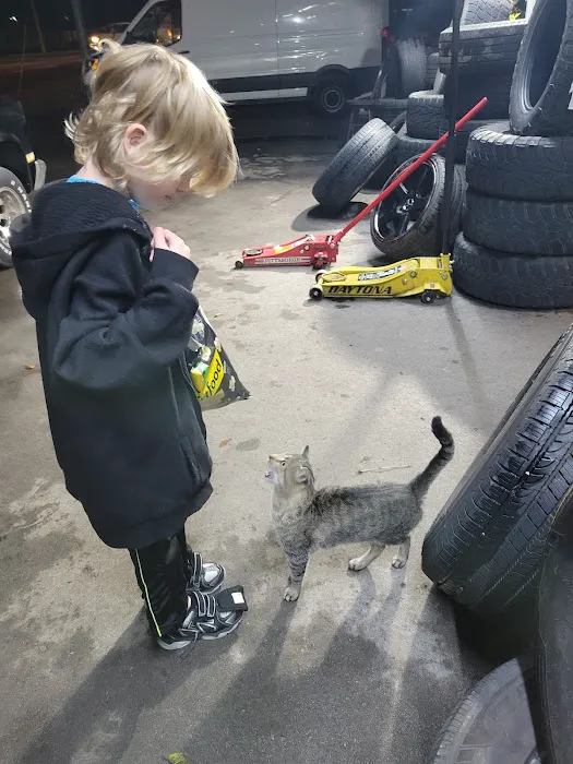 Jordan Tire Shop 4