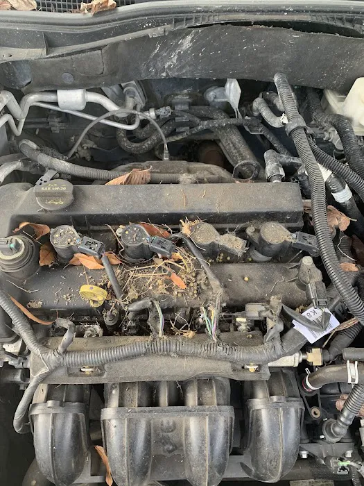 TFG Automotive 1