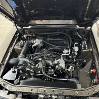 Extreme mustangs llc
