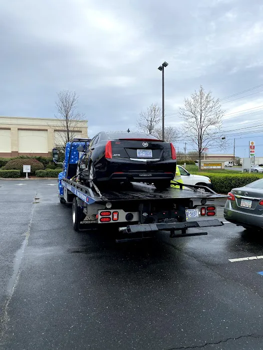 DCS Automotive 2
