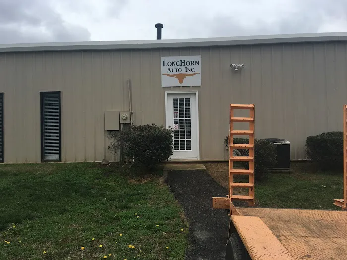 Longhorn Auto, Inc. 1