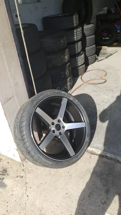 Allgreen Tire 0