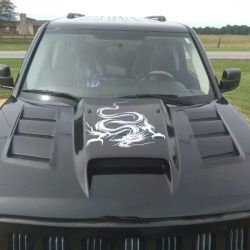 Dirty South Paint And Body Shop ico