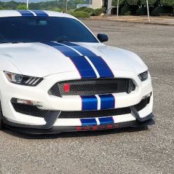 Proline Window Tinting Inc ico
