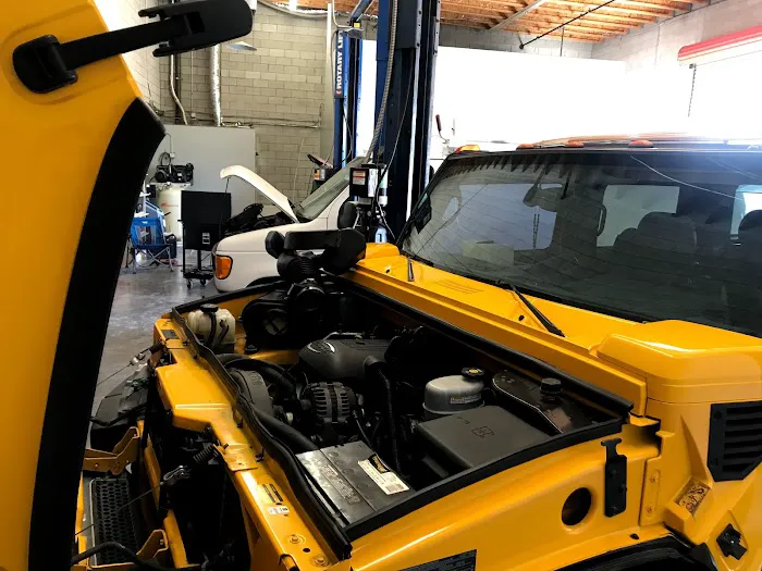 Rocha Automotive 7