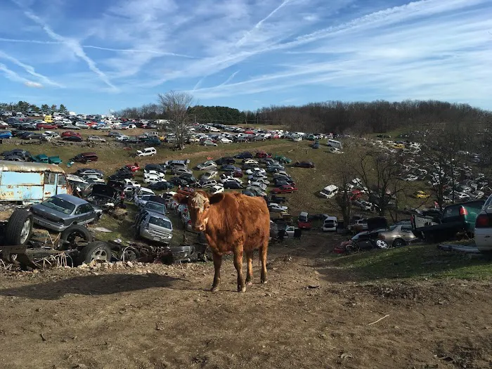 Don's Auto Salvage 9