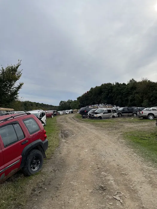Don's Auto Salvage 1