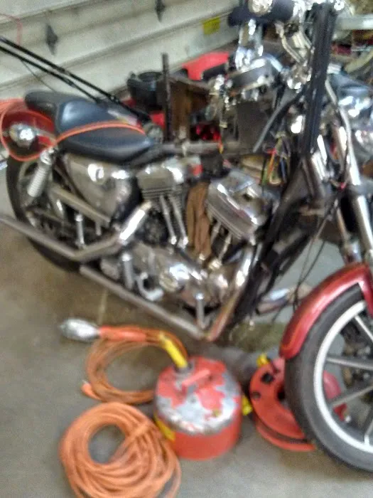 D's Cycle 1