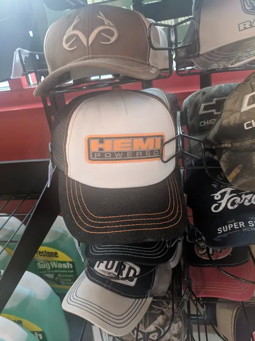 AutoZone Auto Parts 8