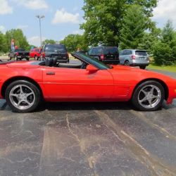 Schoolcraft Auto Body ico