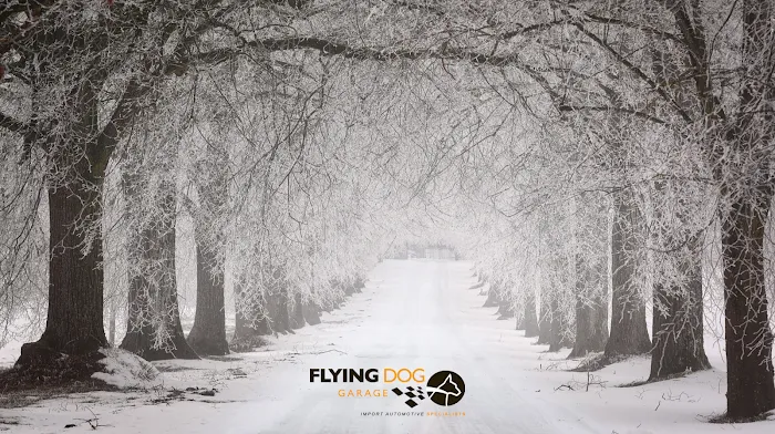 Flying Dog Garage 9