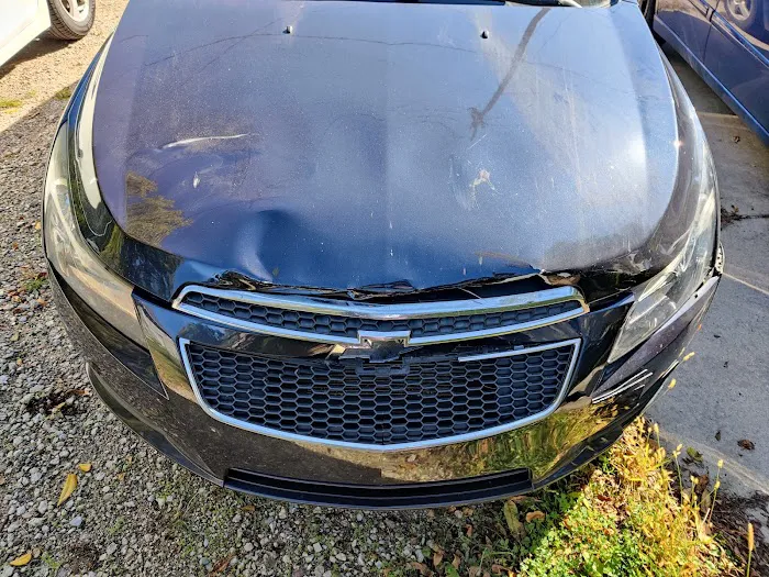 Nyenhuis Collision Center 5