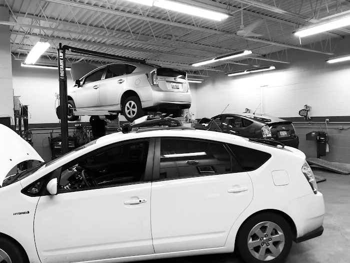 Grand Rapids Hybrid 6
