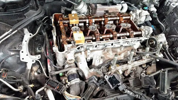 Fox Saab Service 3