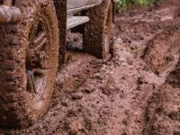 What to Do If Your Car Is Stuck in a Driveway: Expert Tips and Solutions