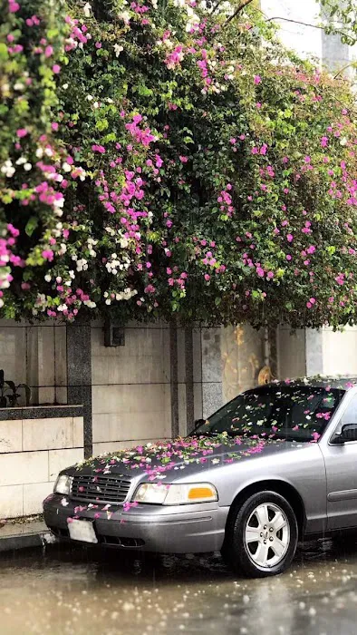 Ford SEDTC 0