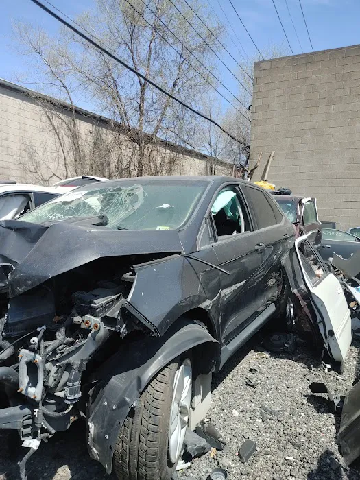 Shamel Auto Parts 1