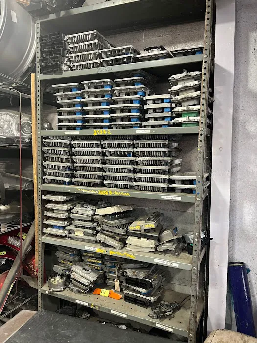 Shamel Auto Parts 8