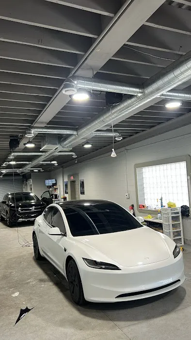 961TINTS 2