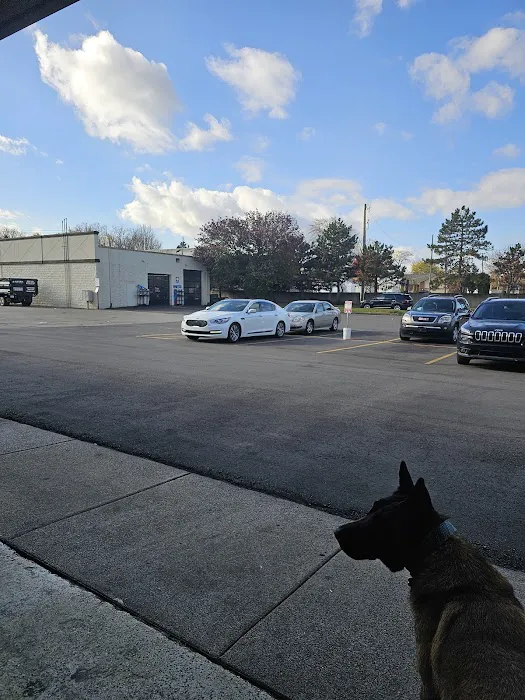 Golden Star Auto Glass 6