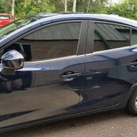 Professional Auto Spa LLC
