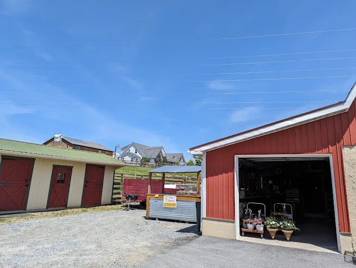 New Ringgold Market Inc 1