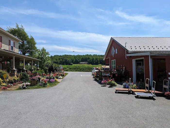 New Ringgold Market Inc 2