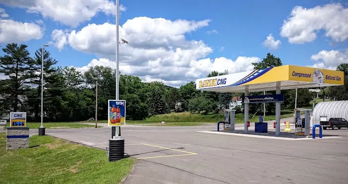 Dandy CNG Compressed Natural Gas 1