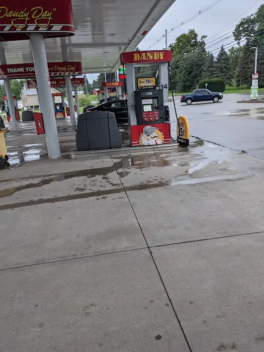 Dandy CNG Compressed Natural Gas 4
