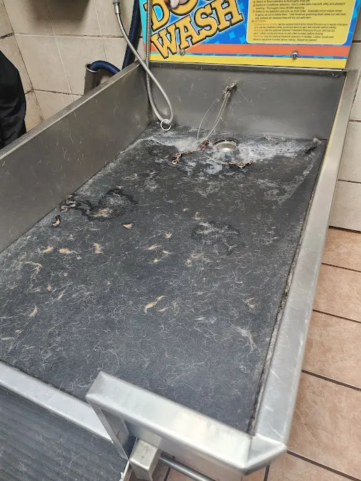 8th Street Car & Dog Wash 0