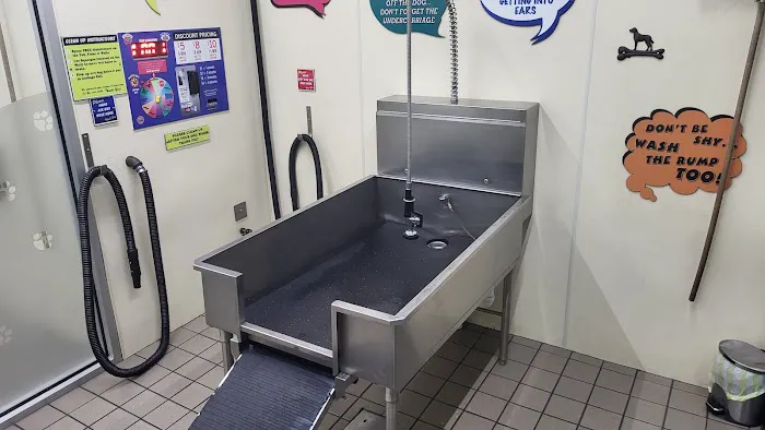 Scrub Co Car and Dog wash 5