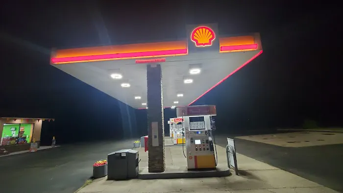 Shell 1