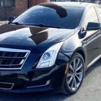 The shop detailing and tint