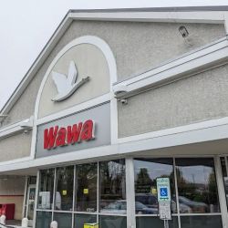 Wawa ico