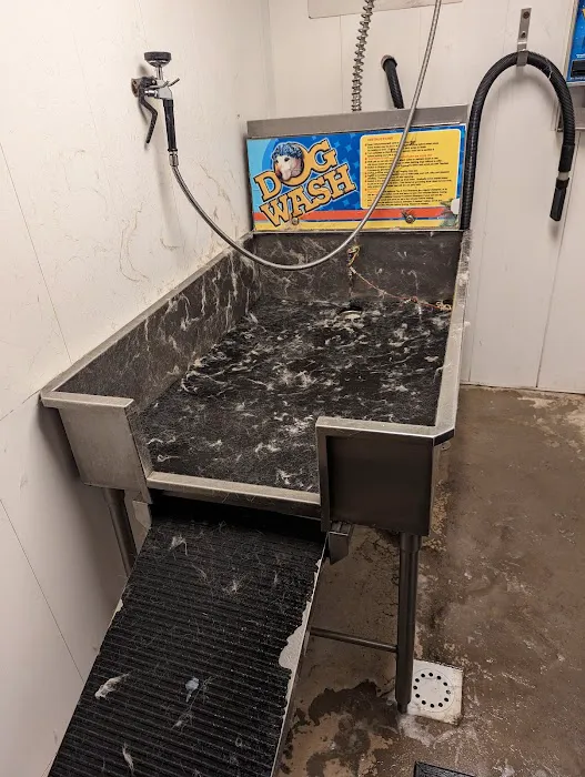 Dog Wash Car Wash 0