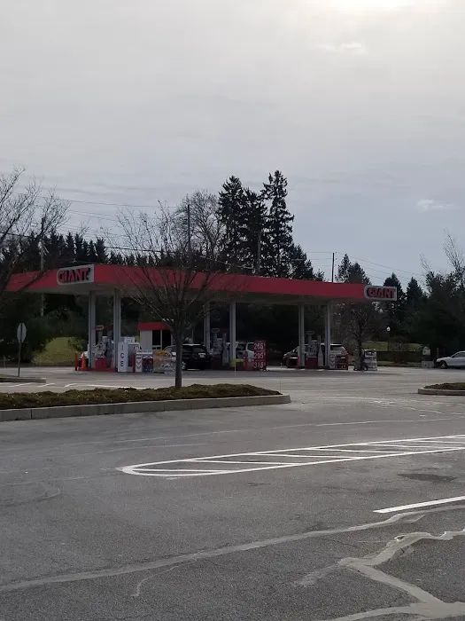 Giant Gasoline 1