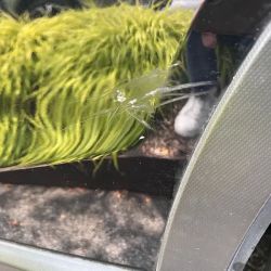 Beacon Car Wash ico