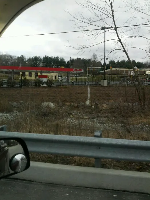 Giant Gas Station 3