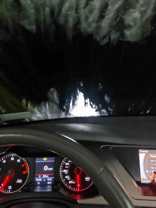 CHESTNUT WASH & SHINE 0