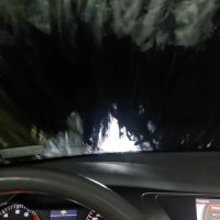 CHESTNUT WASH & SHINE
