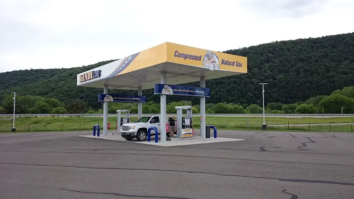 Dandy CNG Compressed Natural Gas 5