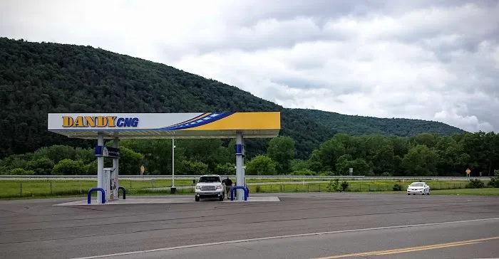 Dandy CNG Compressed Natural Gas 4