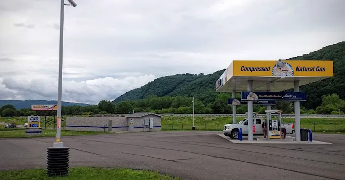 Dandy CNG Compressed Natural Gas 2