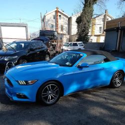 Travis Auto Spa ico