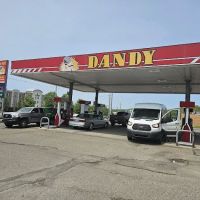Dandy