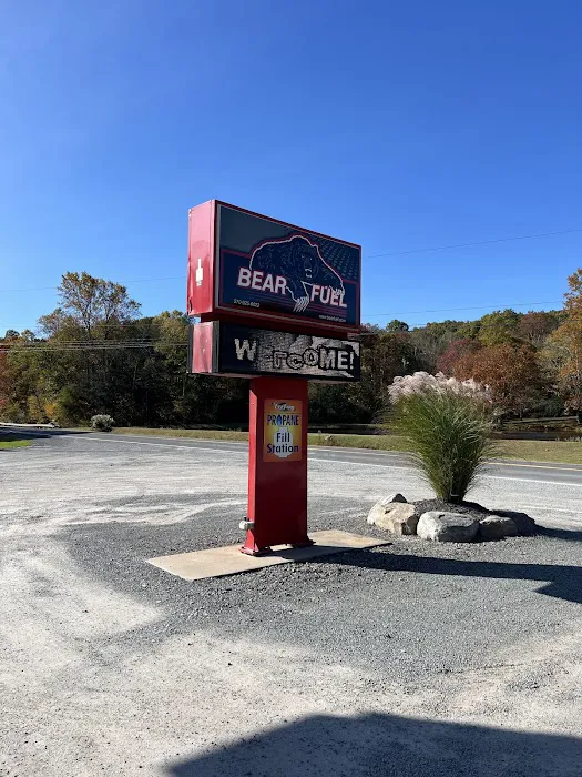 Bear Fuel Services Inc. 5